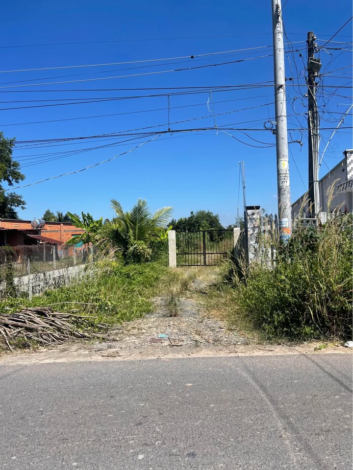 Đất nền Bàu Đồn Gò Dầu 2030m² giá 1.8 tỷ - Sổ hồng chính chủ, sang tên ngay!