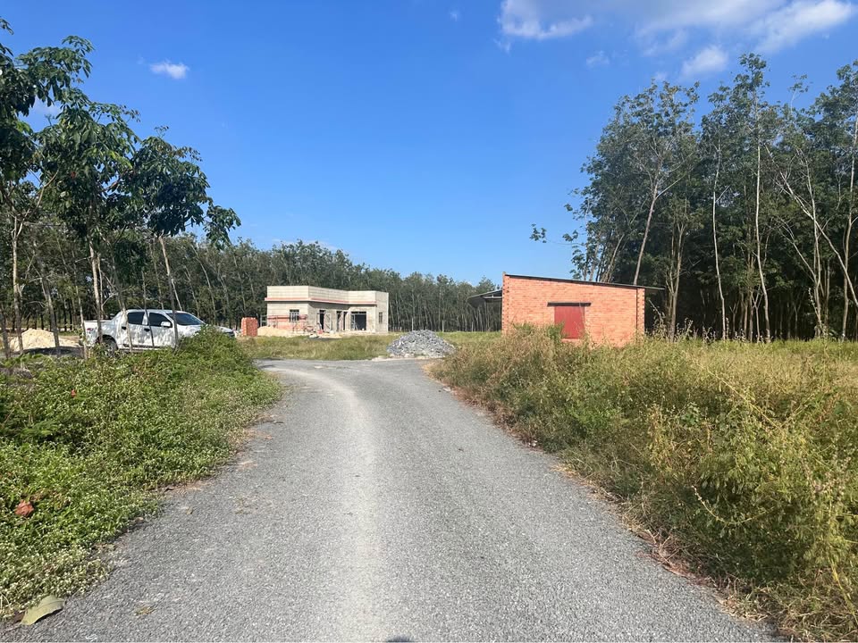 Đất Suối Đá Dương Minh Châu 150m² giá chỉ 200 triệu - Đầu tư sinh lời nhanh!