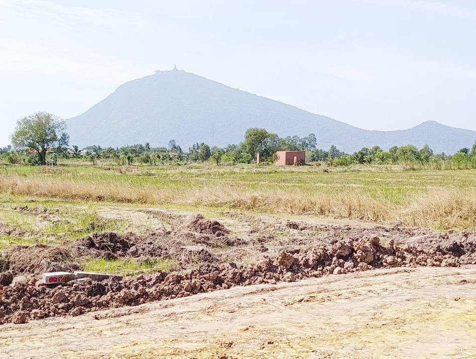 Đất nền Suối Đá Dương Minh Châu 1000m² giá 360 triệu - View Núi Bà tuyệt đẹp!