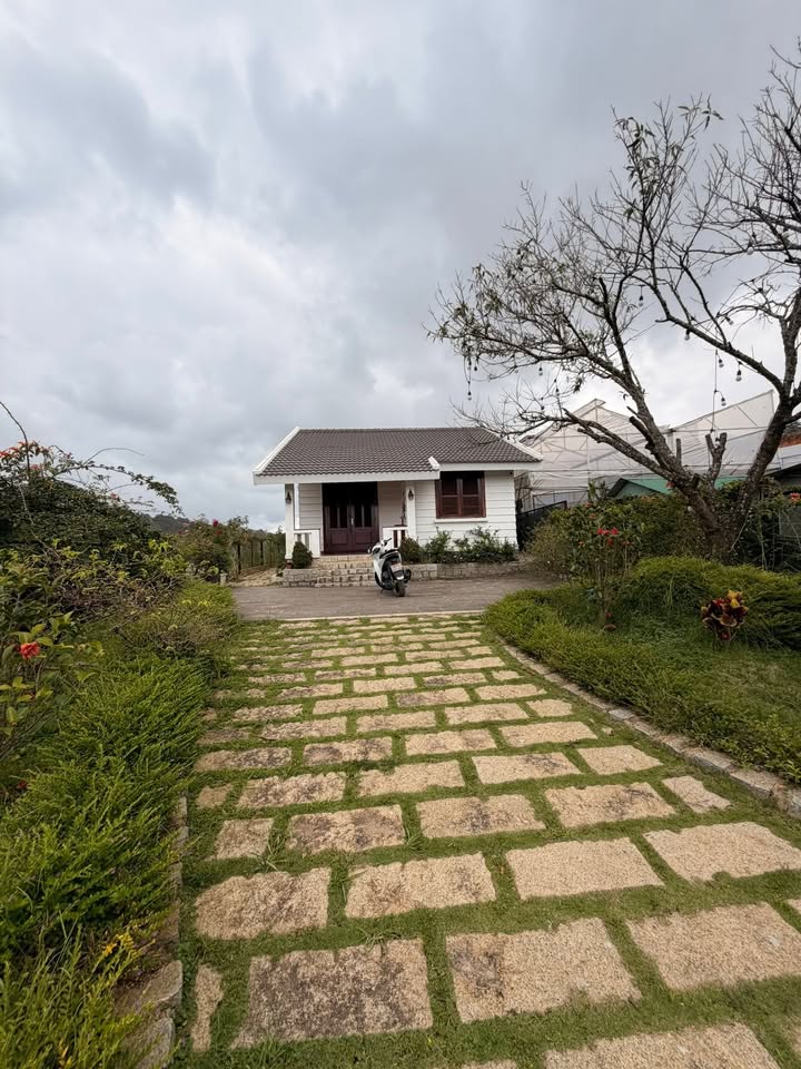 Nhà cho thuê tại đường Măng Lin, Đà Lạt - Ngôi nhà gỗ xinh xắn giữa khu vườn xanh mát!