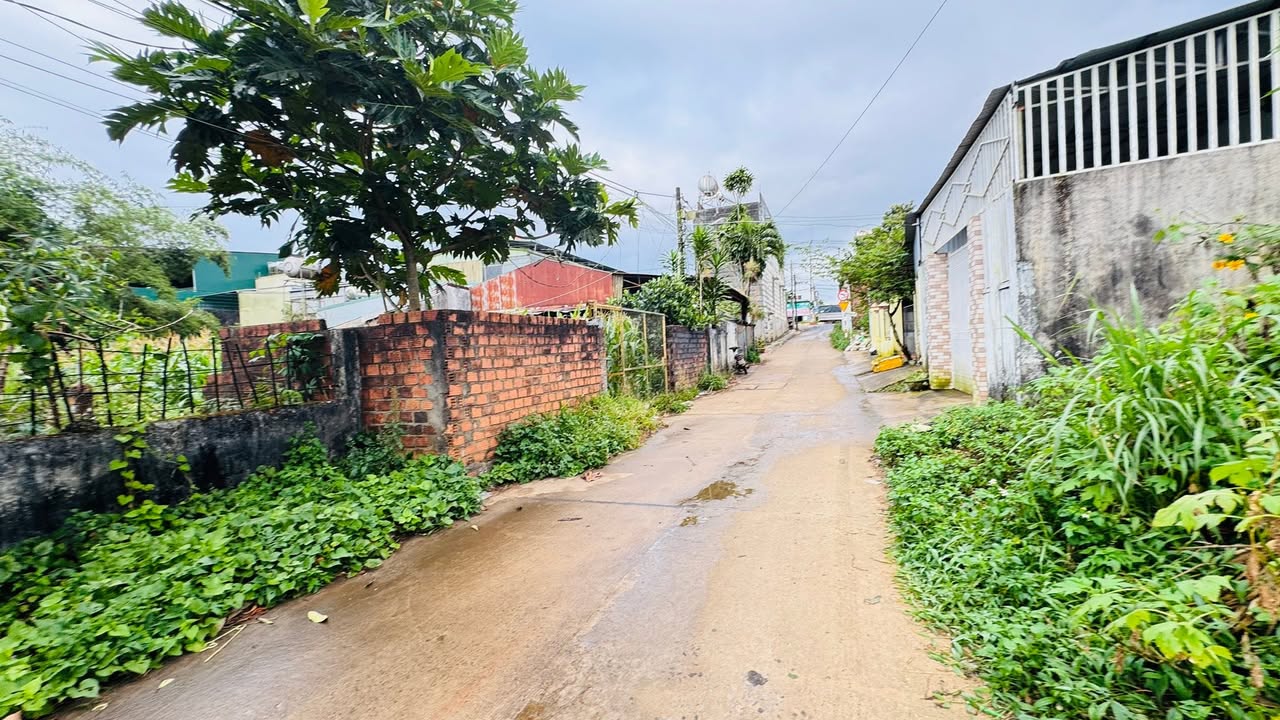 Đất thổ cư 542.4m² tại hẻm 273 Lê Đại Hành, Gia Lai - Giá chỉ 6 tỷ!