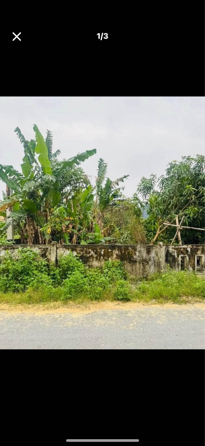 Đất nền mặt tiền Bế Văn Đàn, Nam Lý, 143m² giá 1.6 tỷ - Cơ hội đầu tư hiếm có!