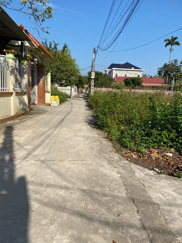 Đất thổ cư thôn Bãi Tre, Đoan Bái 80m² giá 1 tỷ - Cơ hội đầu tư hấp dẫn!