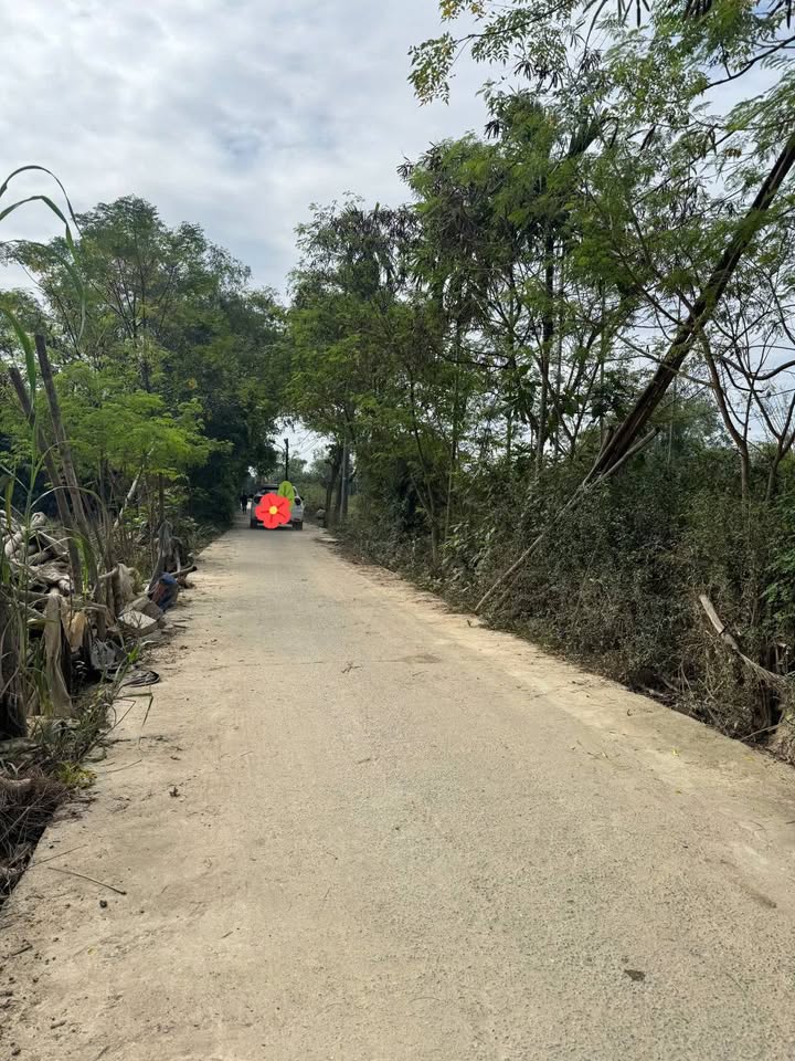 Đất nền Hòa Tiến, Đà Nẵng 100m² giá 890 triệu - Cơ hội đầu tư hấp dẫn!