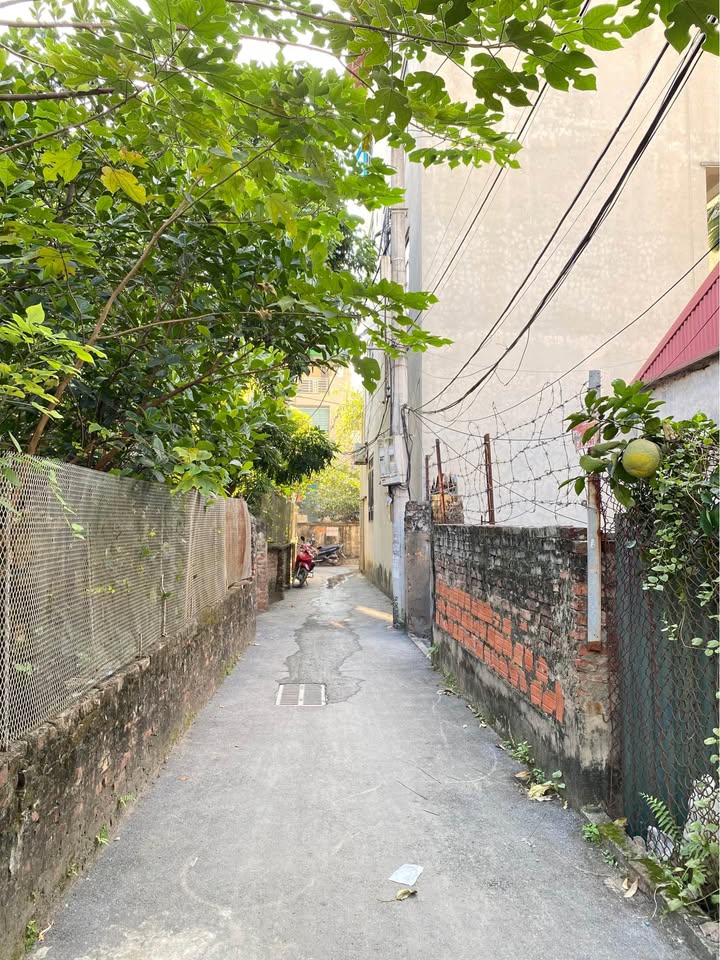 Đất nền Tây Mỗ 56m² giá 5.6 tỷ - Đầu tư tiềm năng tại Hà Nội!