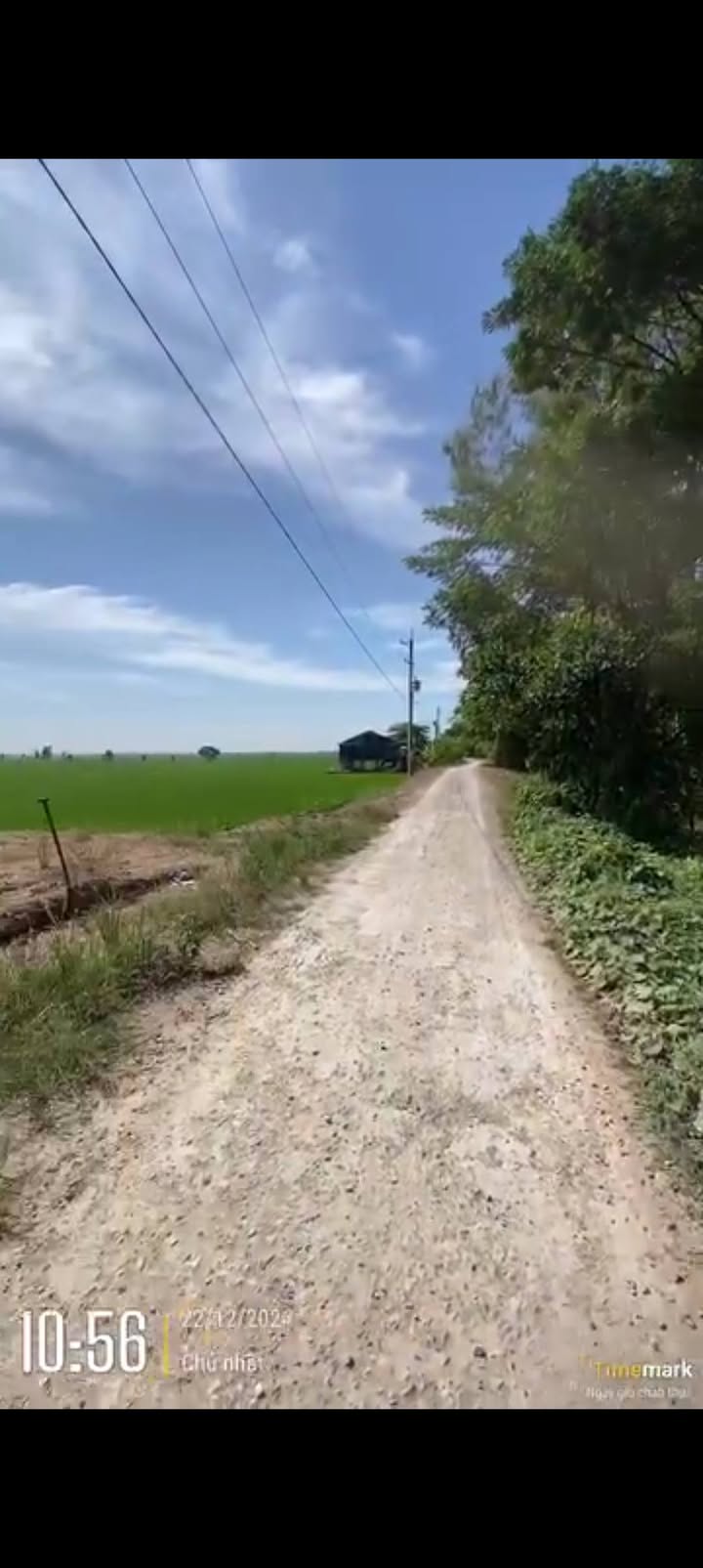 Đất lúa 6739,6m² xã Tân Thạnh, H. Thanh Bình - Đầu tư sinh lời lâu dài!