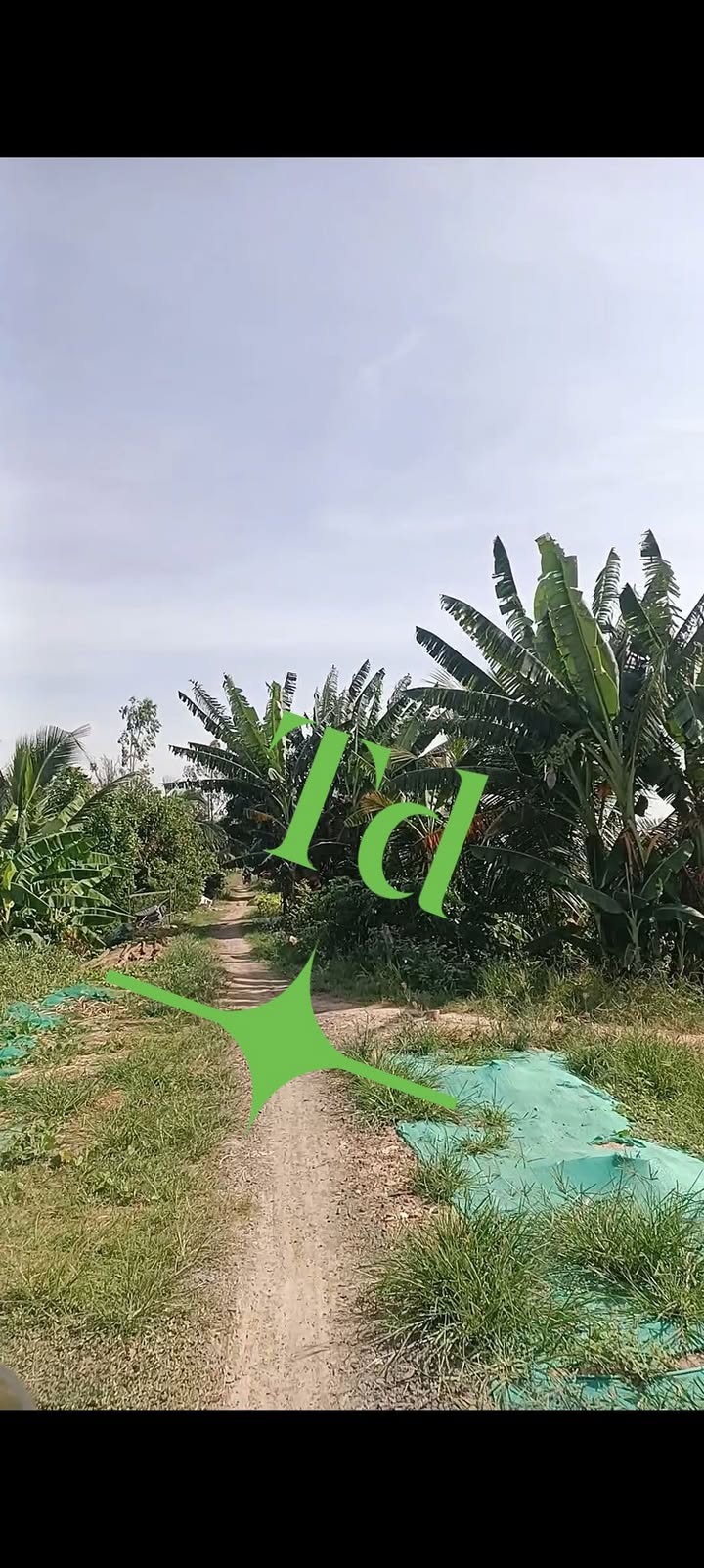 Đất nông nghiệp Phú Cường Tam Nông 16 công giá 1.76 tỷ - Đầu tư sinh lời hấp dẫn!