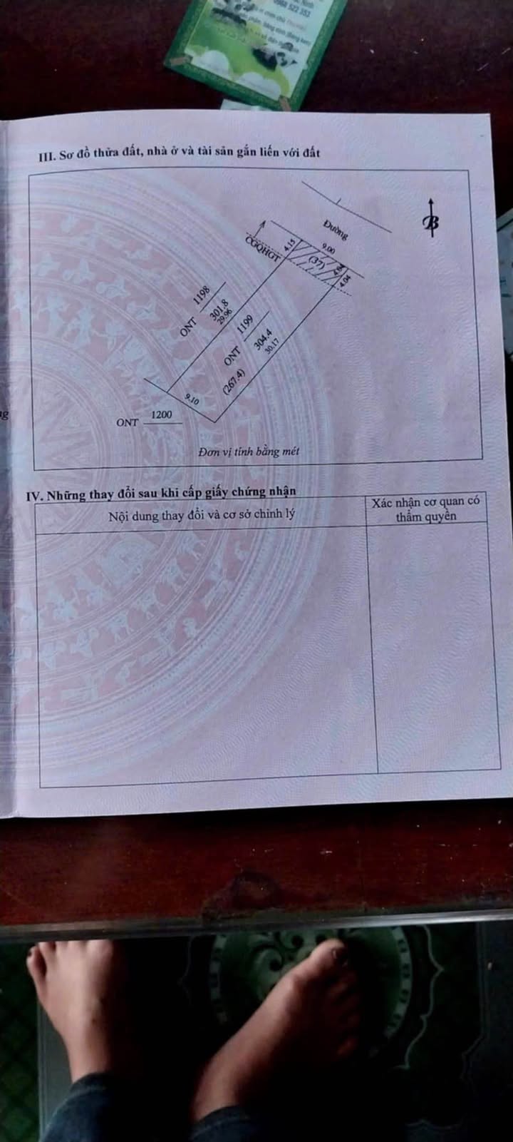 Đất nền Lý Thành, Yên Thành 270m² giá cắt lỗ - Cơ hội đầu tư hấp dẫn!