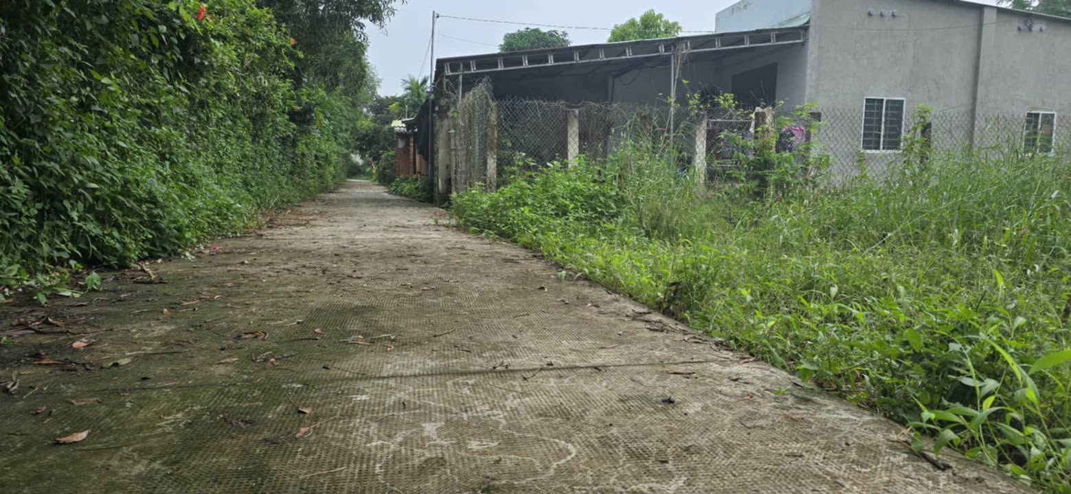 Đất Suối Nghệ 470m² giá 1.1 tỷ - Sổ đỏ chính chủ, đầu tư sinh lời!