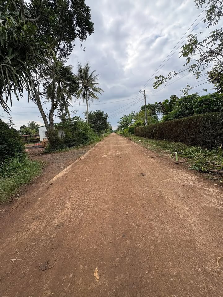 Đất nền chính chủ tại Krông Pắc 180m² giá 460 triệu - Đường bê tông, dân cư đông đúc!