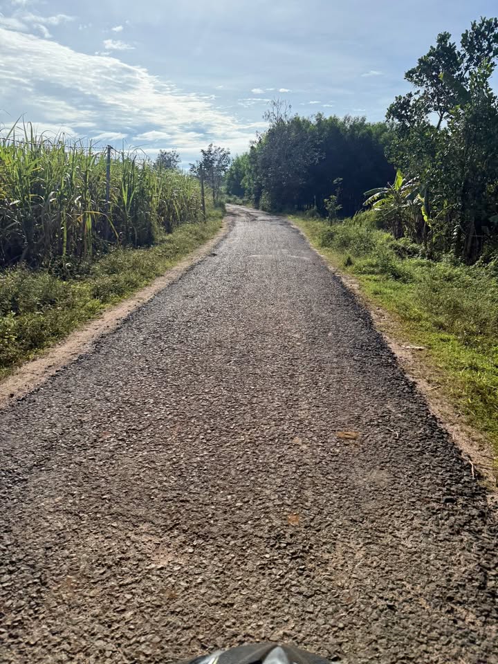 Lô đất 1.2ha mặt tiền đường Trần Hưng Đạo - Đất đen màu mỡ, giá chỉ 4.2 tỷ!