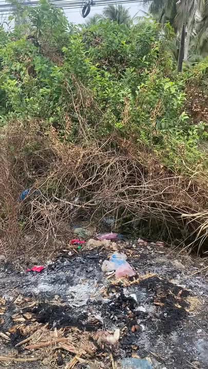 Đất nền mặt tiền Quốc lộ 54, Trà Ôn, 195m² giá 1 tỷ - Cơ hội đầu tư hấp dẫn!