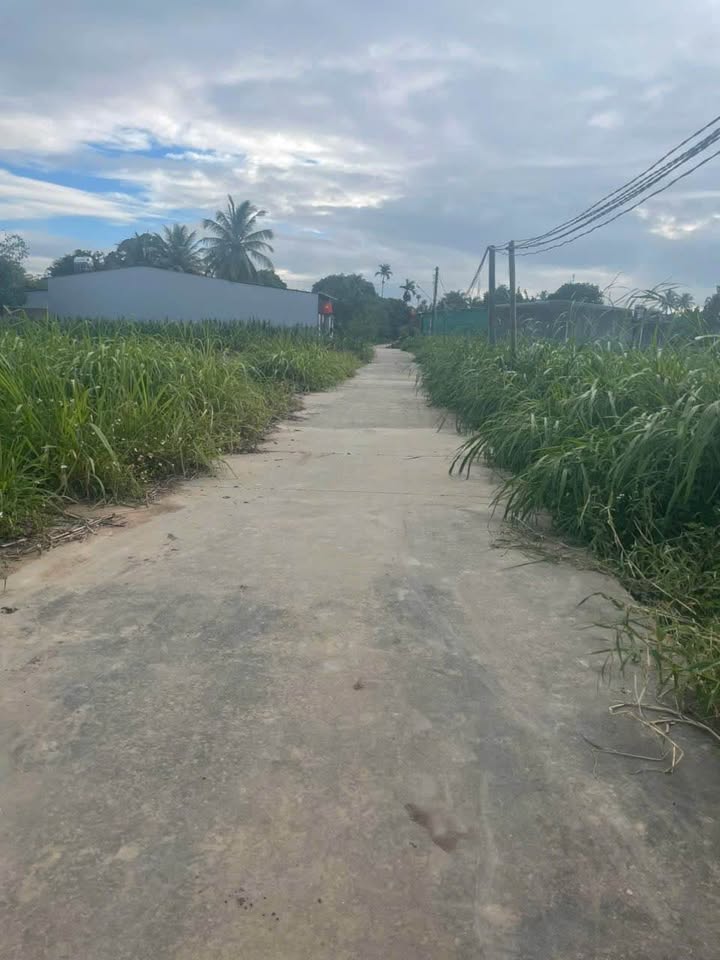 Đất nền 300m² đường Trần Quốc Hoàn, phường Trần Hưng Đạo - Đầu tư sinh lời ngay!