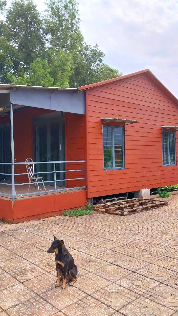 Đất nền Long Tân 1440m² giá 1.6 tỷ - Nhà tiền chế rộng rãi, sẵn sàng ở ngay!