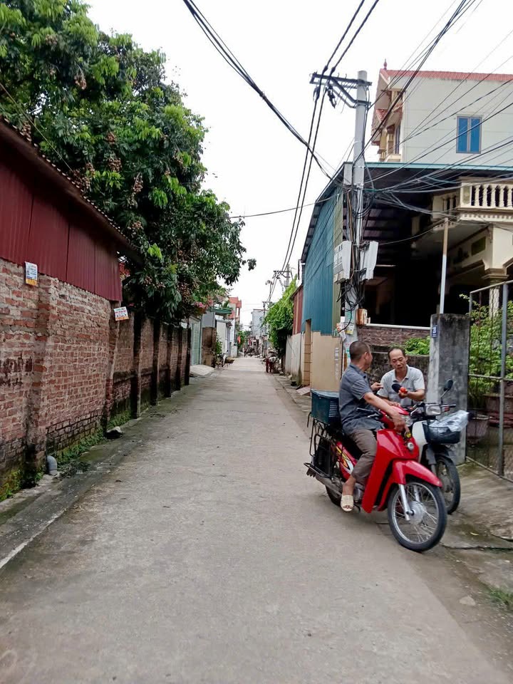 Đất chính chủ Thư Phú, Thường Tín 50m² giá 2 tỷ - Vị trí đắc địa, sổ đỏ rõ ràng!