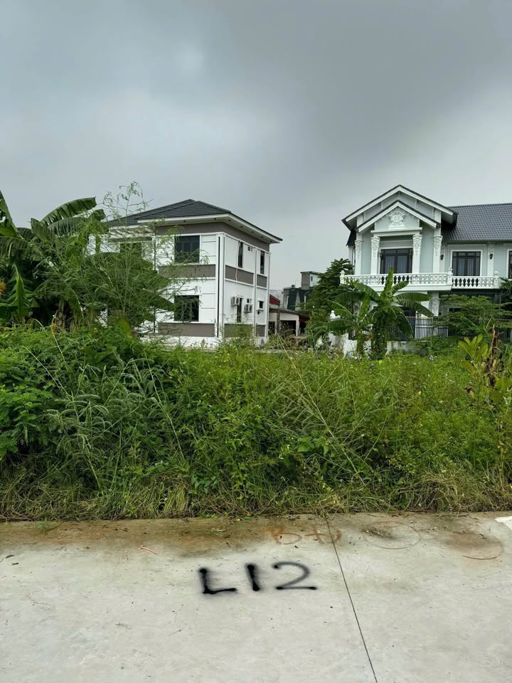 Đất thổ cư An Đồng Hải Phòng 100m² - Cơ hội đầu tư tuyệt vời!