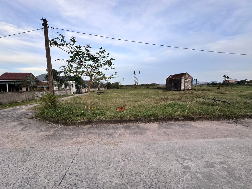 Đất nền Kỳ Khang 300m² giá 1 tỷ - Vị trí đẹp, giao thông thuận lợi!