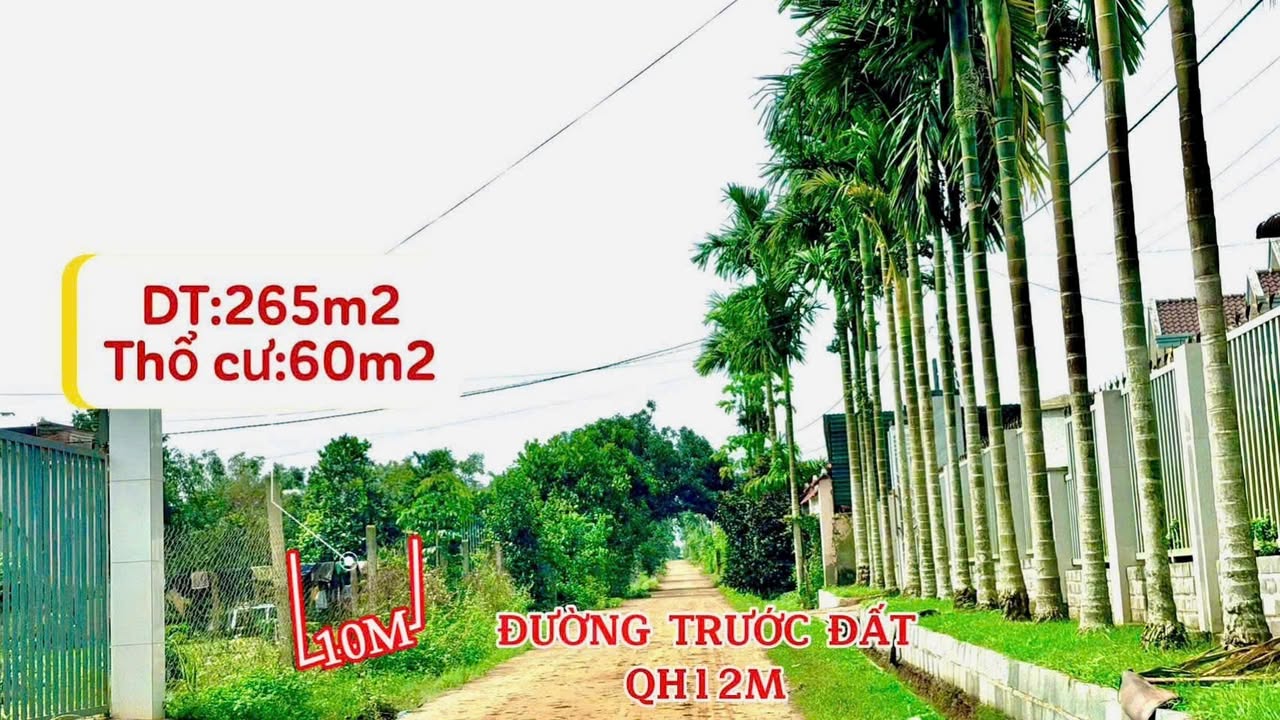 Đất thổ cư Cư Bao Buôn Hồ 260m² giá 460 triệu - Đầu tư sinh lời tiềm năng!