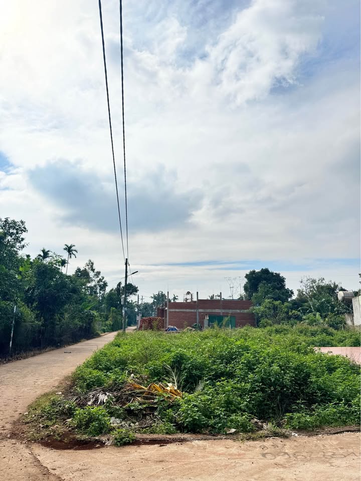 Nhà mặt tiền N7 Buôn Ma Thuột 100m² giá 1.29 tỷ - Cơ hội đầu tư tuyệt vời!