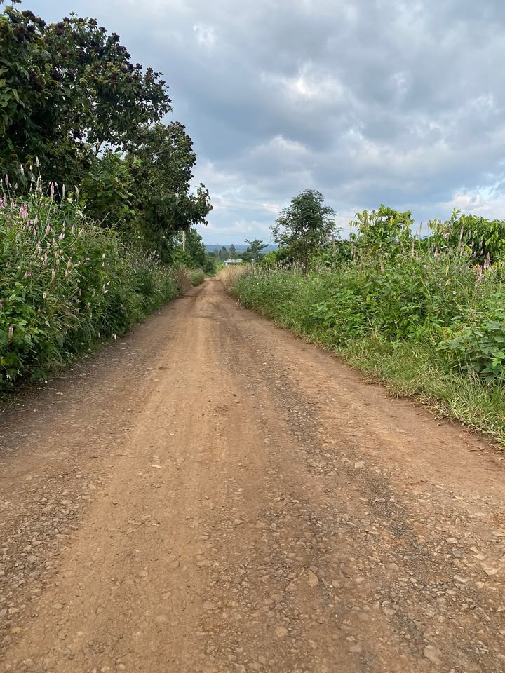 Đất nền Phú Xuân, Krông Năng 3850m² giá 2.4 tỷ - Sổ hồng chính chủ, thương lượng tốt!