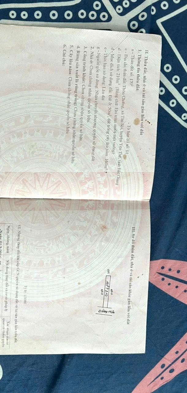 Đất nền Tân Sỏi, Yên Thế 210m² giá 600 triệu - Vị trí đắc địa, giao thông thuận lợi!