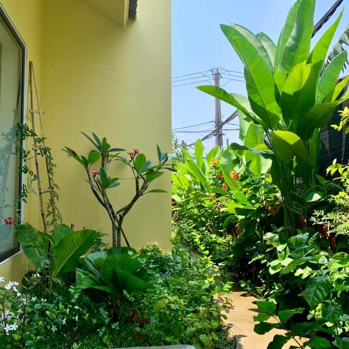 Đất thổ cư 130m² tại Tân Bình, Thái Bình - Chính chủ bán gấp!