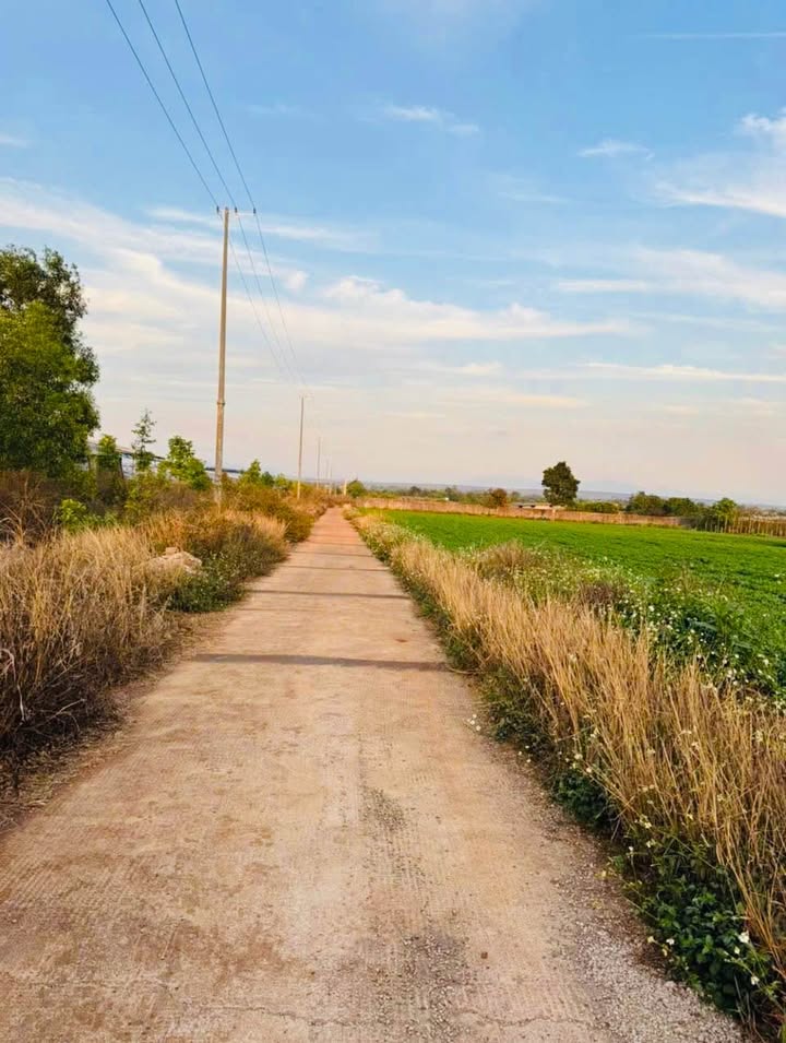 Bán 6 Lô Đất Hẻm Ngô Quyền 750m² giá 390 triệu - Cách Hồ Trà Đa chỉ 200m!