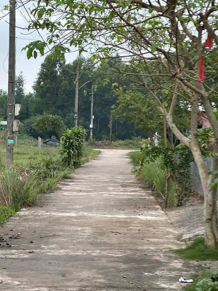 Đất ở Duy Sơn 210m² giá 4 tỷ - Cơ hội đầu tư tuyệt vời!