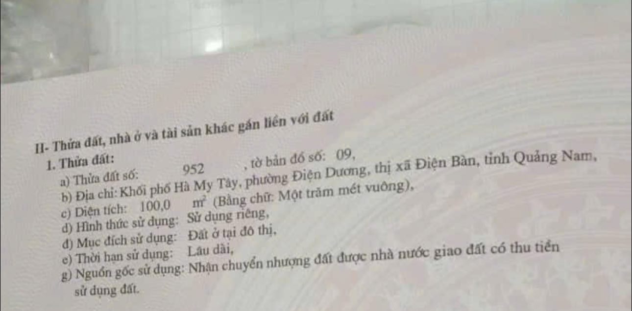 Đất nền Điện Dương 100m² giá 1.3 tỷ - Đầu tư sinh lời ngay!