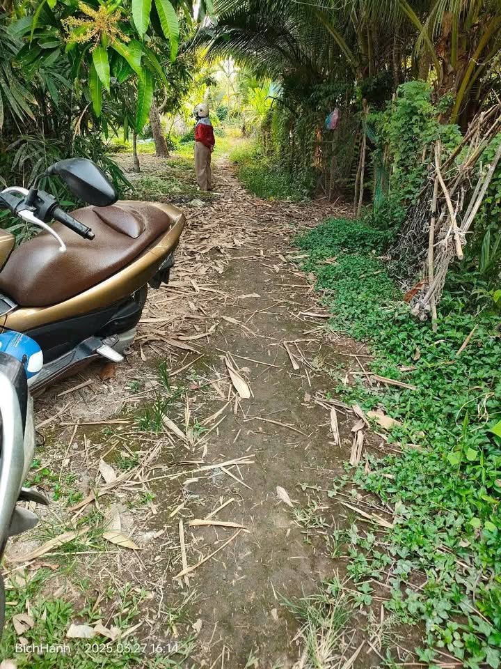 Đất Giai Xuân, Phong Điền 1.371m² giá 900 triệu - Cơ hội đầu tư tuyệt vời!