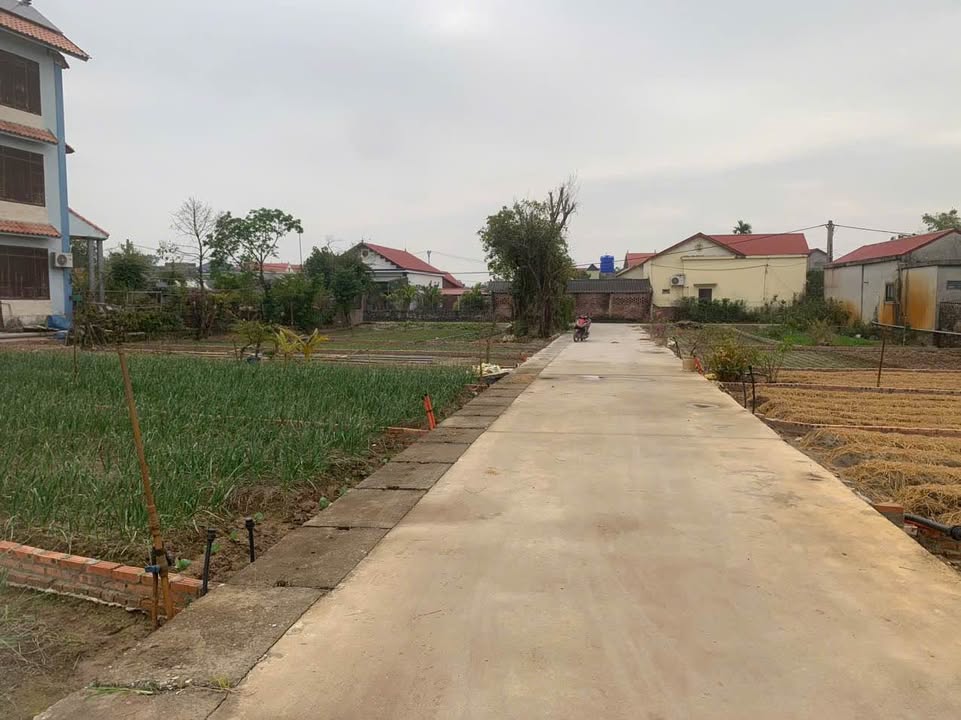 Đất nền Minh Tân Lương Tài 81m² giá chỉ 1 tỷ - Cơ hội đầu tư hấp dẫn!