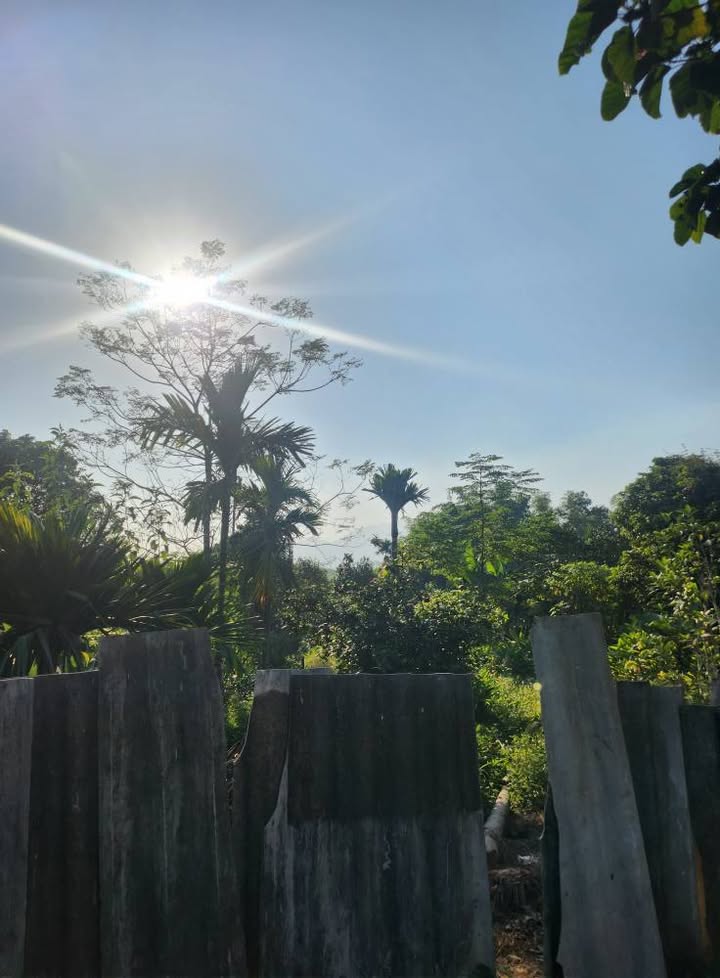 Đất nền tổ dân phố 6, Minh Xuân, Tuyên Quang 245.56m² - Sổ đỏ chính chủ, giá chỉ 1 tỷ!