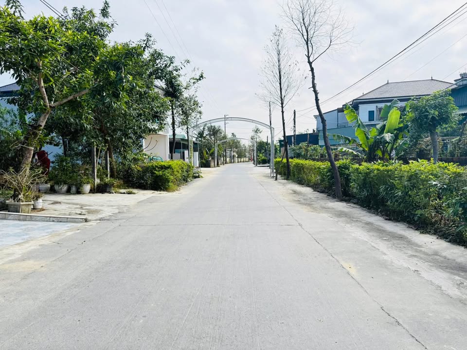 Đất nền Cẩm Vịnh 188.1m² giá 1 tỷ - Cơ hội đầu tư hấp dẫn!