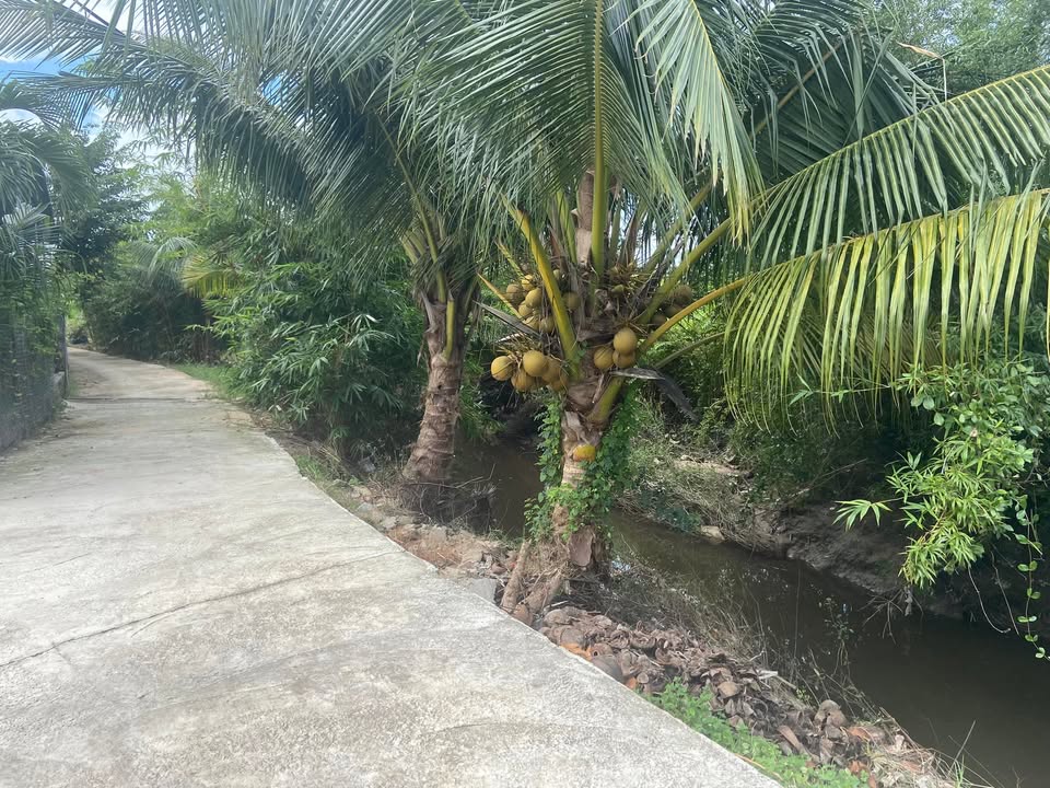 Nhà cấp 4 Hàm Liêm, Bình Thuận 100m² giá 1.15 tỷ - Thiết kế thông thoáng, 2 mặt tiền!