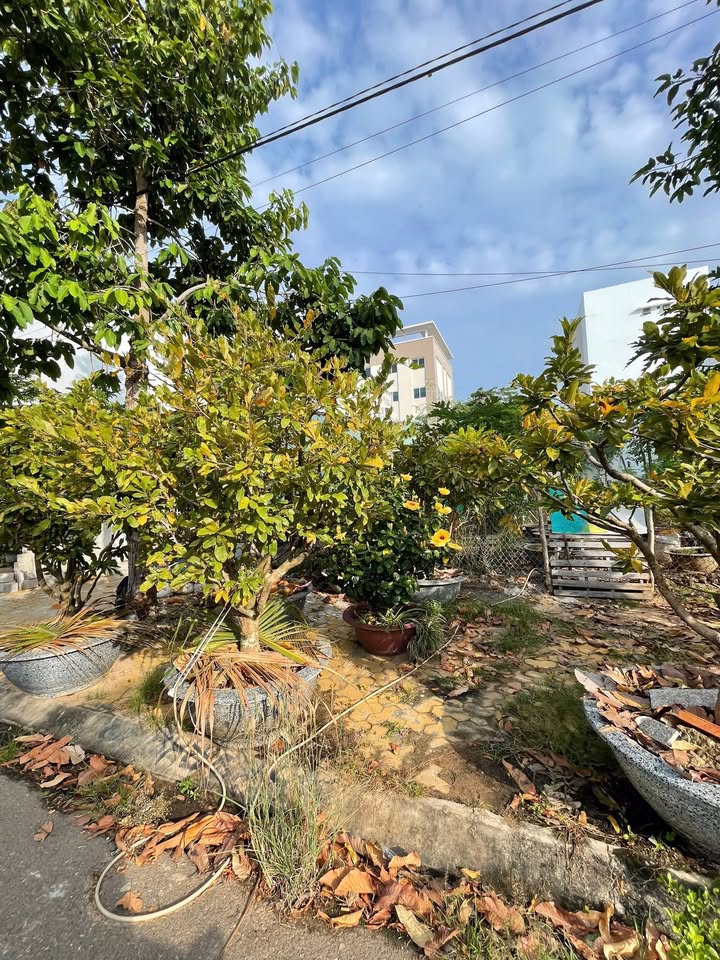 Đất nền Xuân An, Phan Thiết 99m² giá 3.3 tỷ - Gần trường Lê Quý Đôn