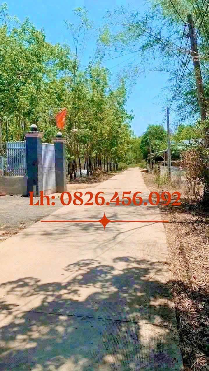 Đất nền ấp Phước Tân, Tân Phước, Đồng Phú, 300m² giá 700 triệu - Đường bê tông, sổ đỏ chính chủ!