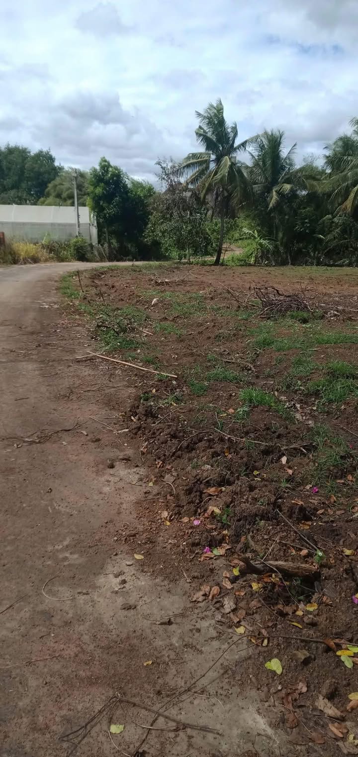 Đất nền Lộc Hưng 650m² giá 460 triệu - Mặt tiền 39m cực đẹp!