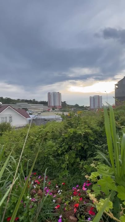 Đất nền 100m² đường Nguyễn Hoàng, Đà Lạt - Giá chỉ 3.8 tỷ, thương lượng chính chủ!