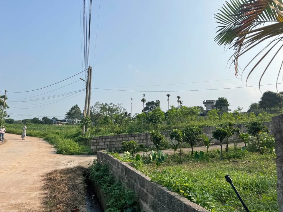 Đất nền Phúc Trìu 3400m² giá chỉ 5.1 tỷ - Chính chủ, không qua môi giới!