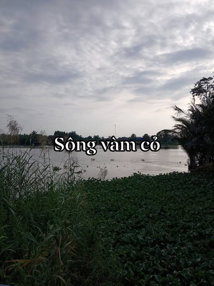 Đất vườn Lương Bình 11847m² giá 1.55 tỷ - Cơ hội đầu tư sinh lời!