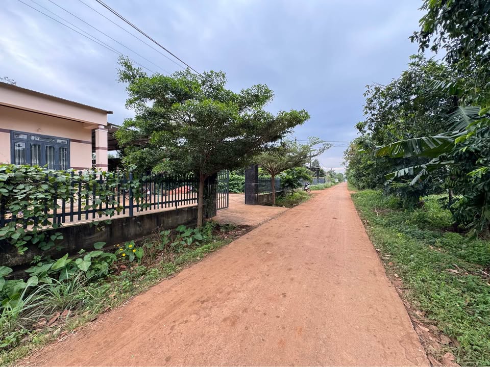 Đất thổ cư 620m² tại Ea Bhôk, Cư Kuin, Đắk Lắk giá 500 triệu - Đầu tư lâu dài!