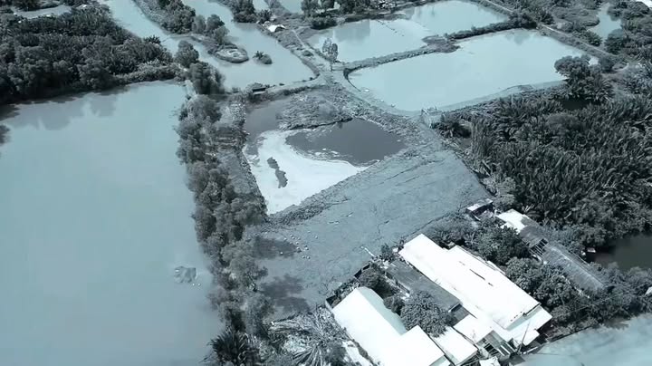 Đất nền ấp Long Hậu 1, Cần Giuộc 3.350m² giá 5.59 tỷ - Sổ đỏ chính chủ, mặt tiền đường số 8!