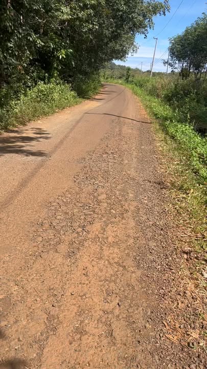 Đất nền 1,5ha mặt tiền đường nhựa xã Đường 10 - Cơ hội đầu tư hấp dẫn!