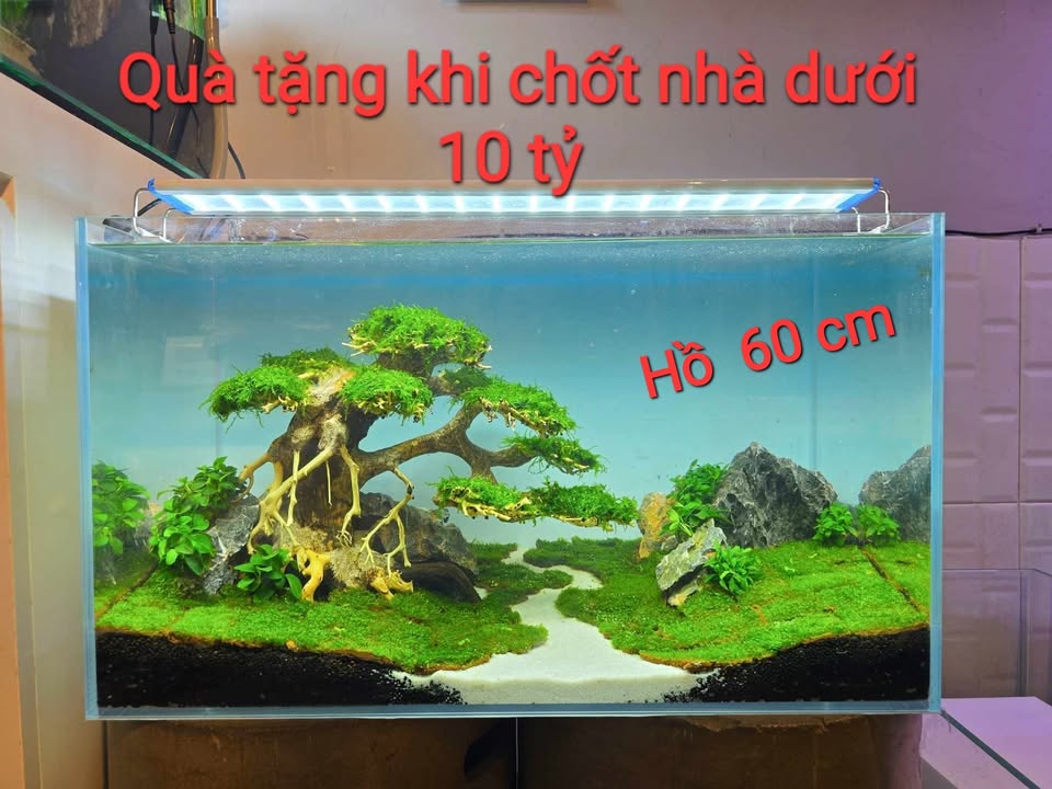 Chung cư 70m² tại quận 3, giá 4 tỷ - Sổ hồng chính chủ, an ninh tốt!