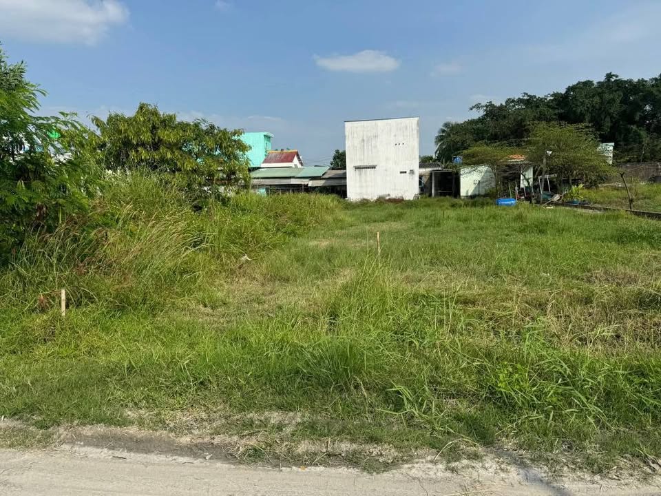 Đất nền Đức Hòa 232m² giá 1.9 tỷ - Gần công viên Võ Văn Tần!