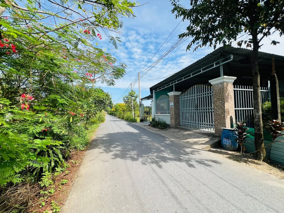 Đất mặt tiền đường Hoa Vàng, Mỹ Hạnh Nam, 175m² chỉ 1.8 tỷ - Cơ hội đầu tư tốt!