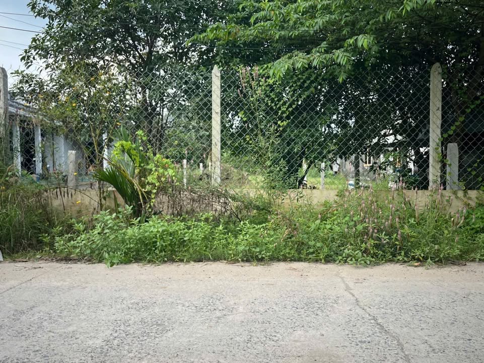 Đất thổ cư Đức Hòa Thượng 200m² giá 1.3 tỷ - Đường thông 4 hướng, dân cư đông đúc!