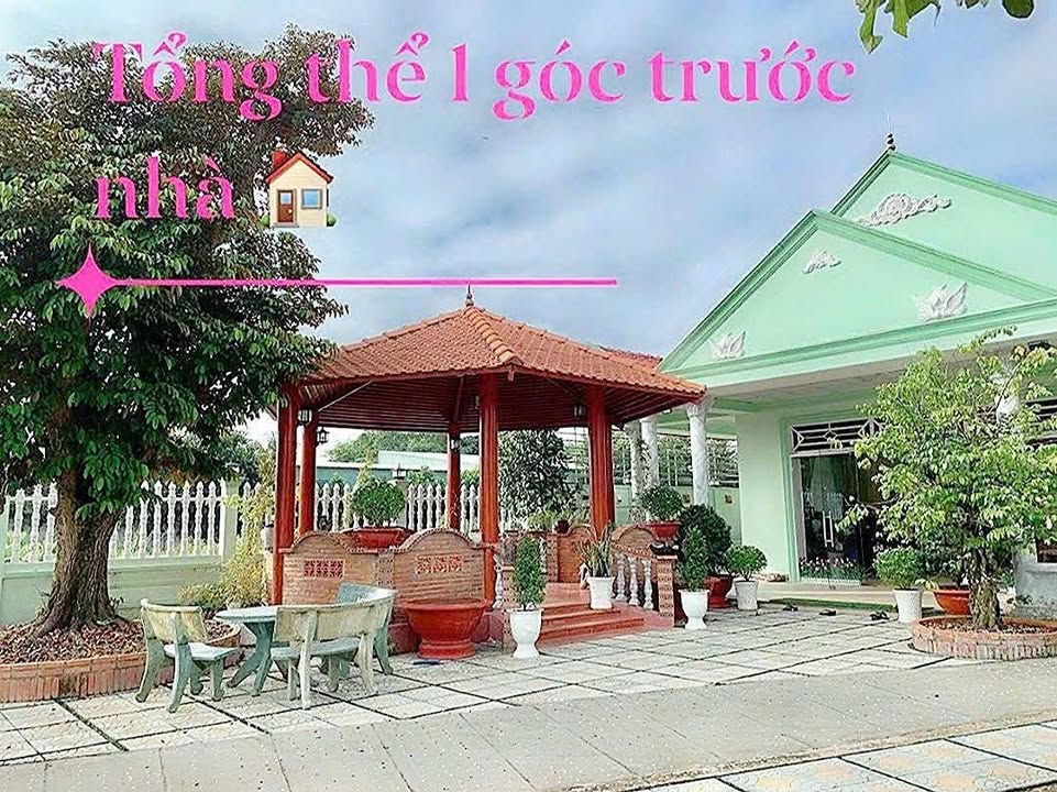 Nhà vườn mặt tiền đường Phạm Văn Cội, Củ Chi 350m² - Vị trí kinh doanh lý tưởng!