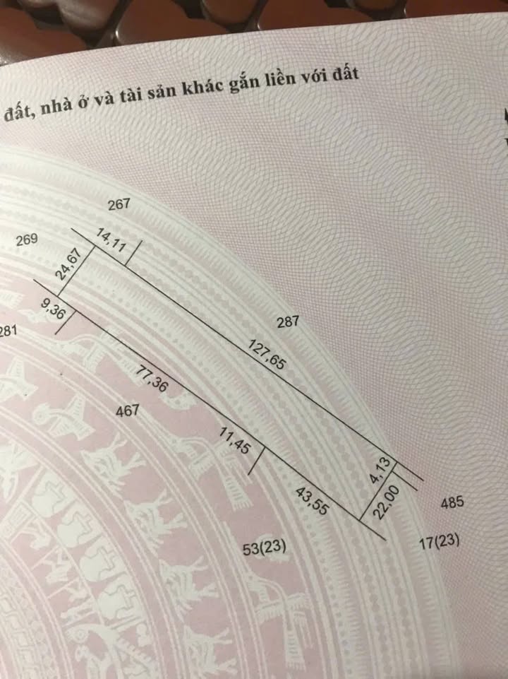 Đất vườn mít 11 công tại xã Phú Điền, Đồng Tháp - Giá 1.225 tỷ - Pháp lý rõ ràng!