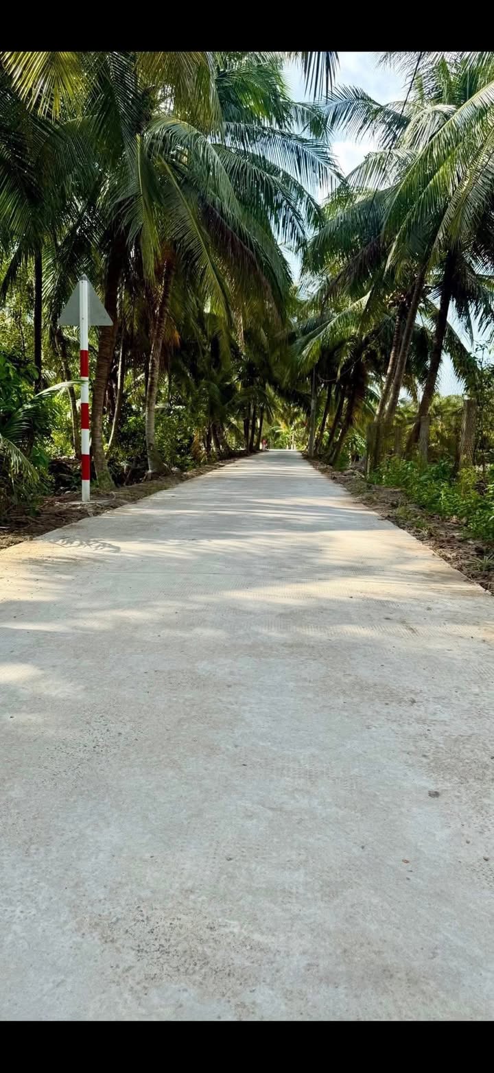 Đất nền Nhị Quý, Cai Lậy 112m² giá 700 triệu - Sổ hồng chính chủ, vị trí đẹp!